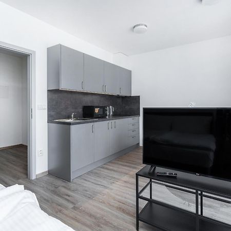 פודבראדי Apartman V Podebradech מראה חיצוני תמונה