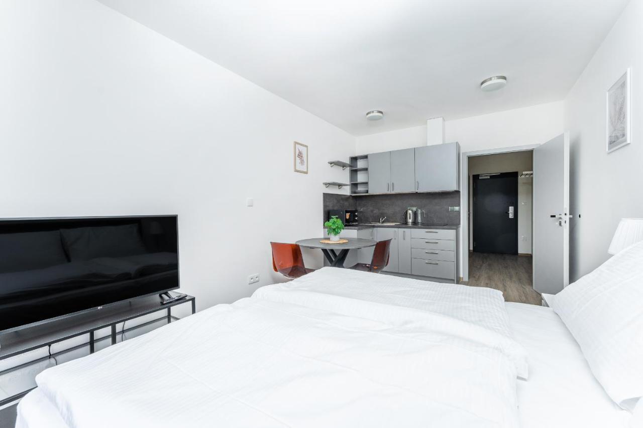 פודבראדי Apartman V Podebradech מראה חיצוני תמונה