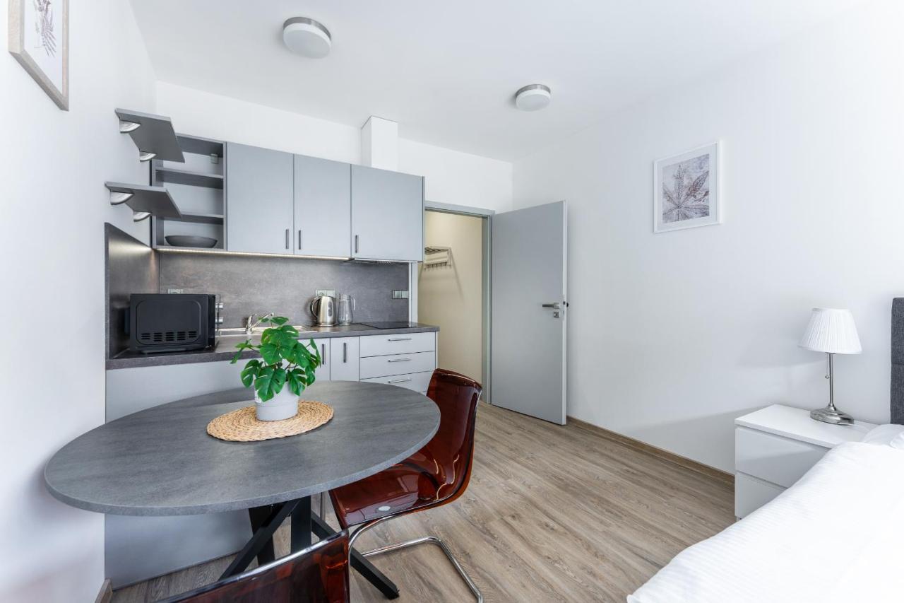 פודבראדי Apartman V Podebradech מראה חיצוני תמונה