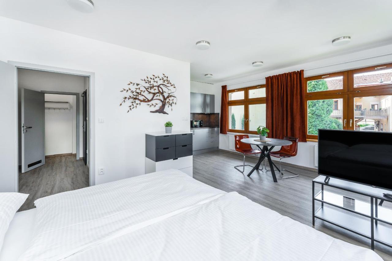 פודבראדי Apartman V Podebradech מראה חיצוני תמונה