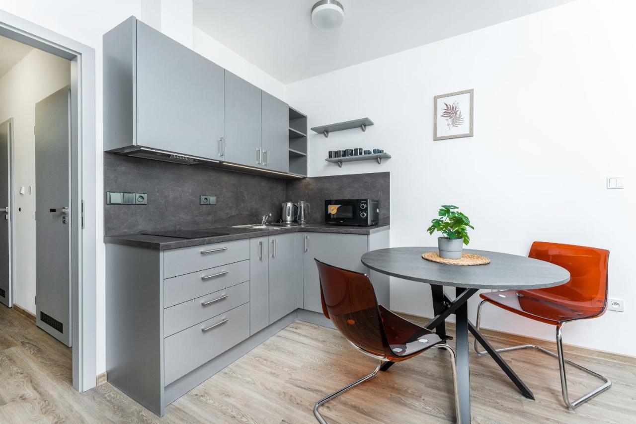 פודבראדי Apartman V Podebradech מראה חיצוני תמונה