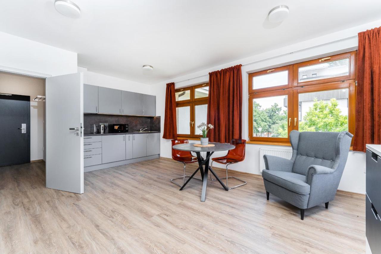 פודבראדי Apartman V Podebradech מראה חיצוני תמונה
