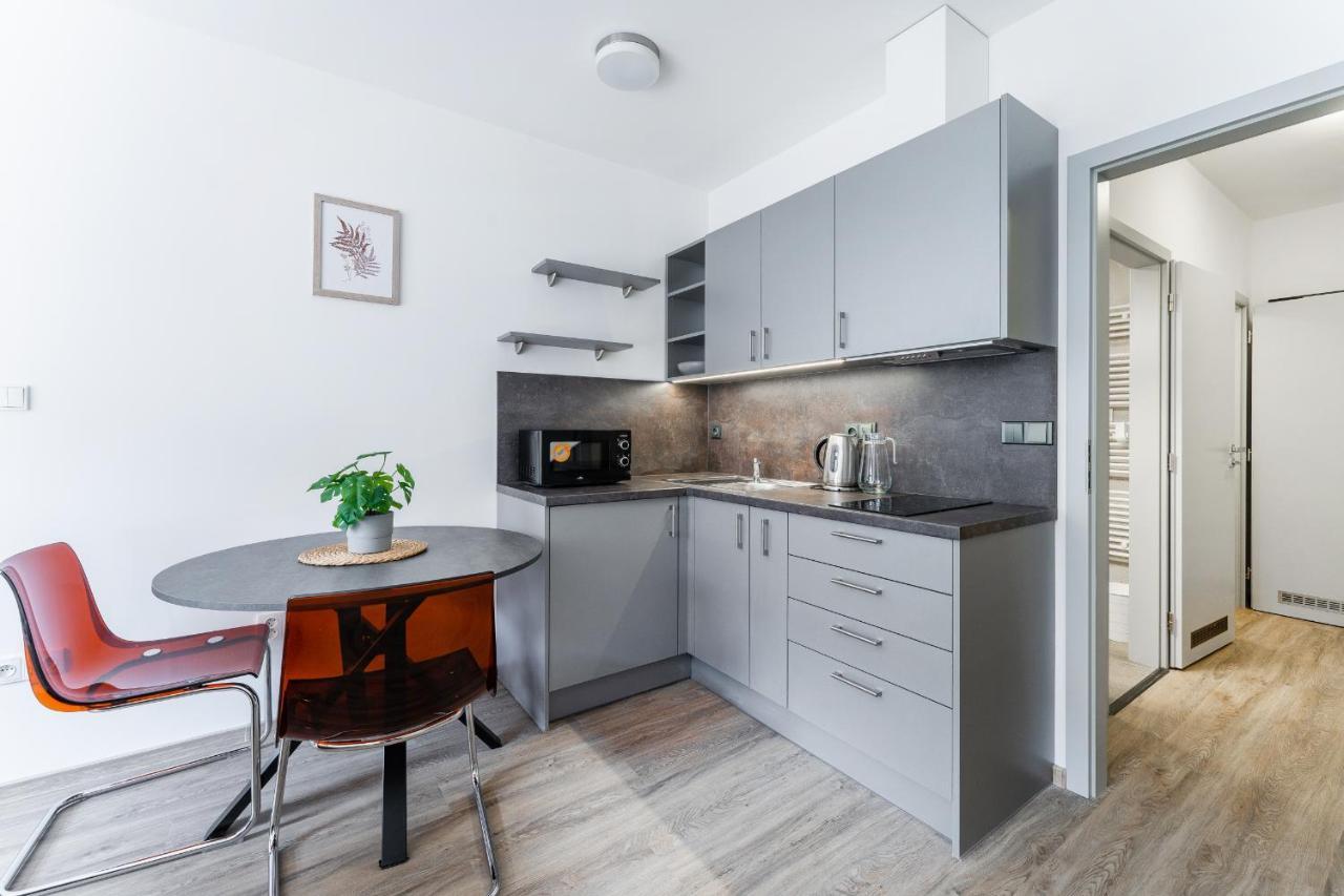 פודבראדי Apartman V Podebradech מראה חיצוני תמונה