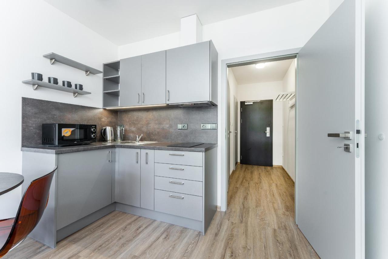 פודבראדי Apartman V Podebradech מראה חיצוני תמונה