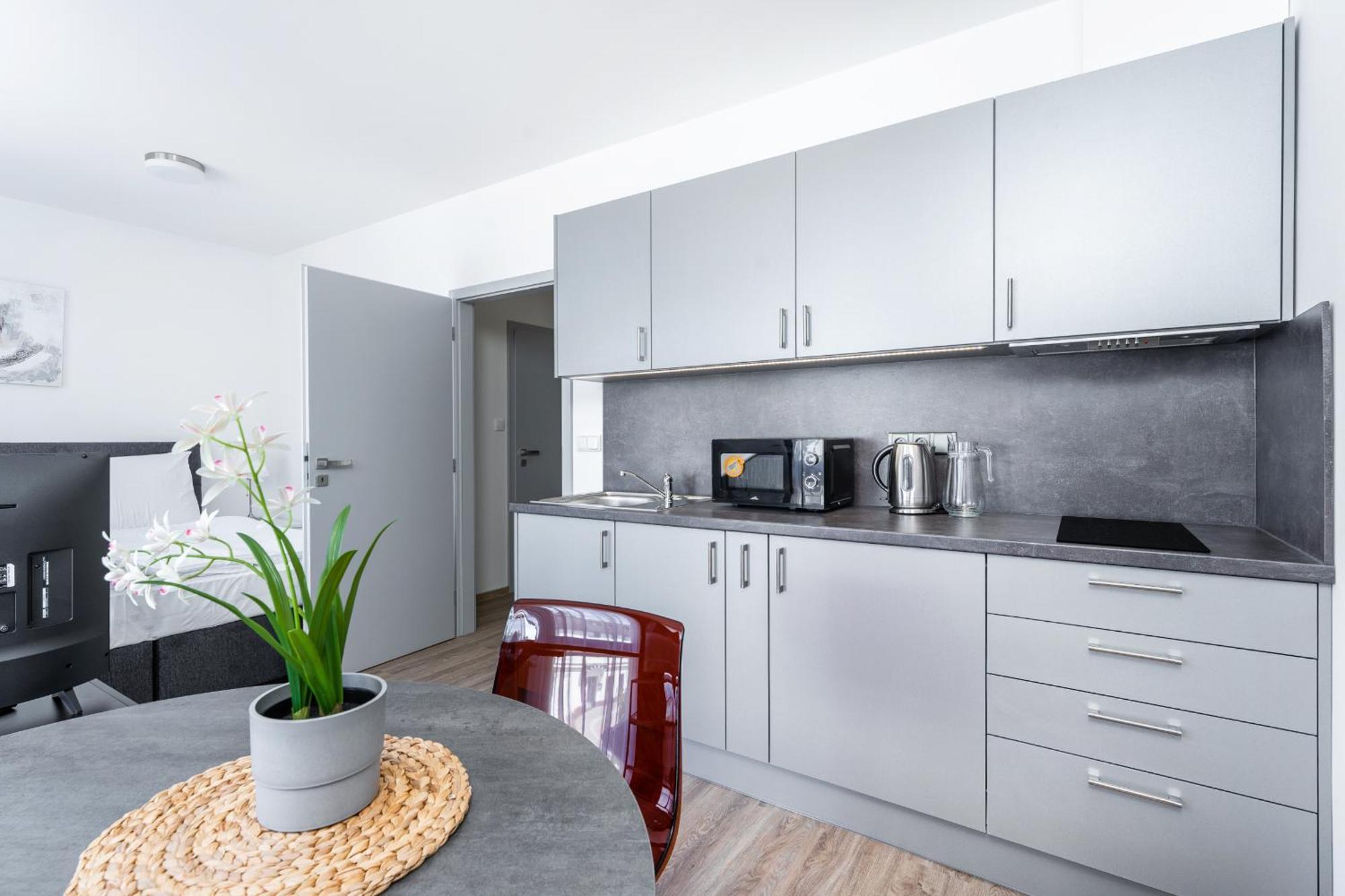 פודבראדי Apartman V Podebradech מראה חיצוני תמונה