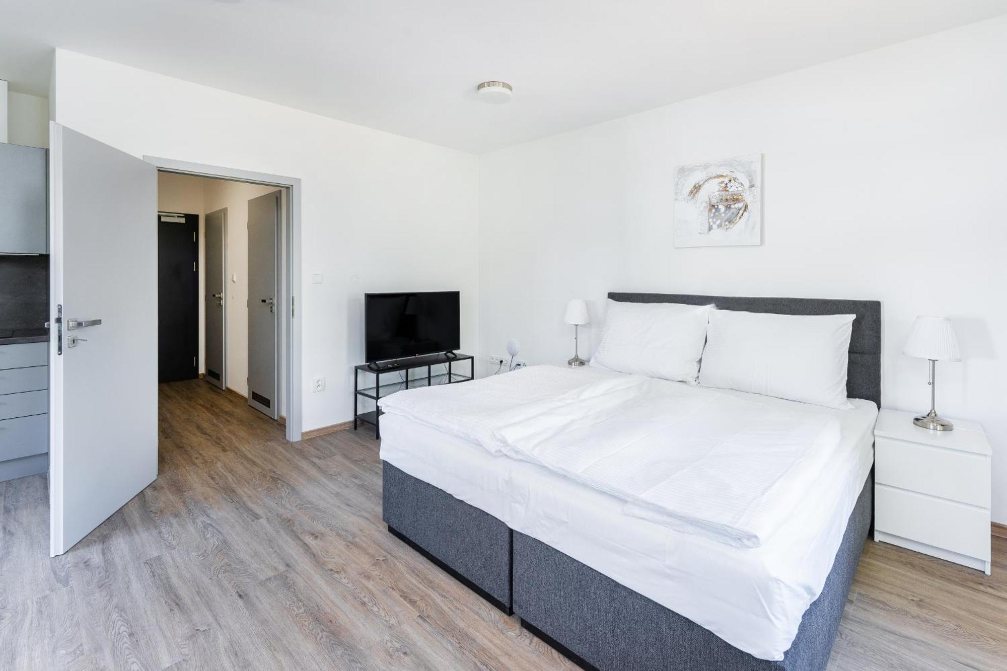 פודבראדי Apartman V Podebradech מראה חיצוני תמונה
