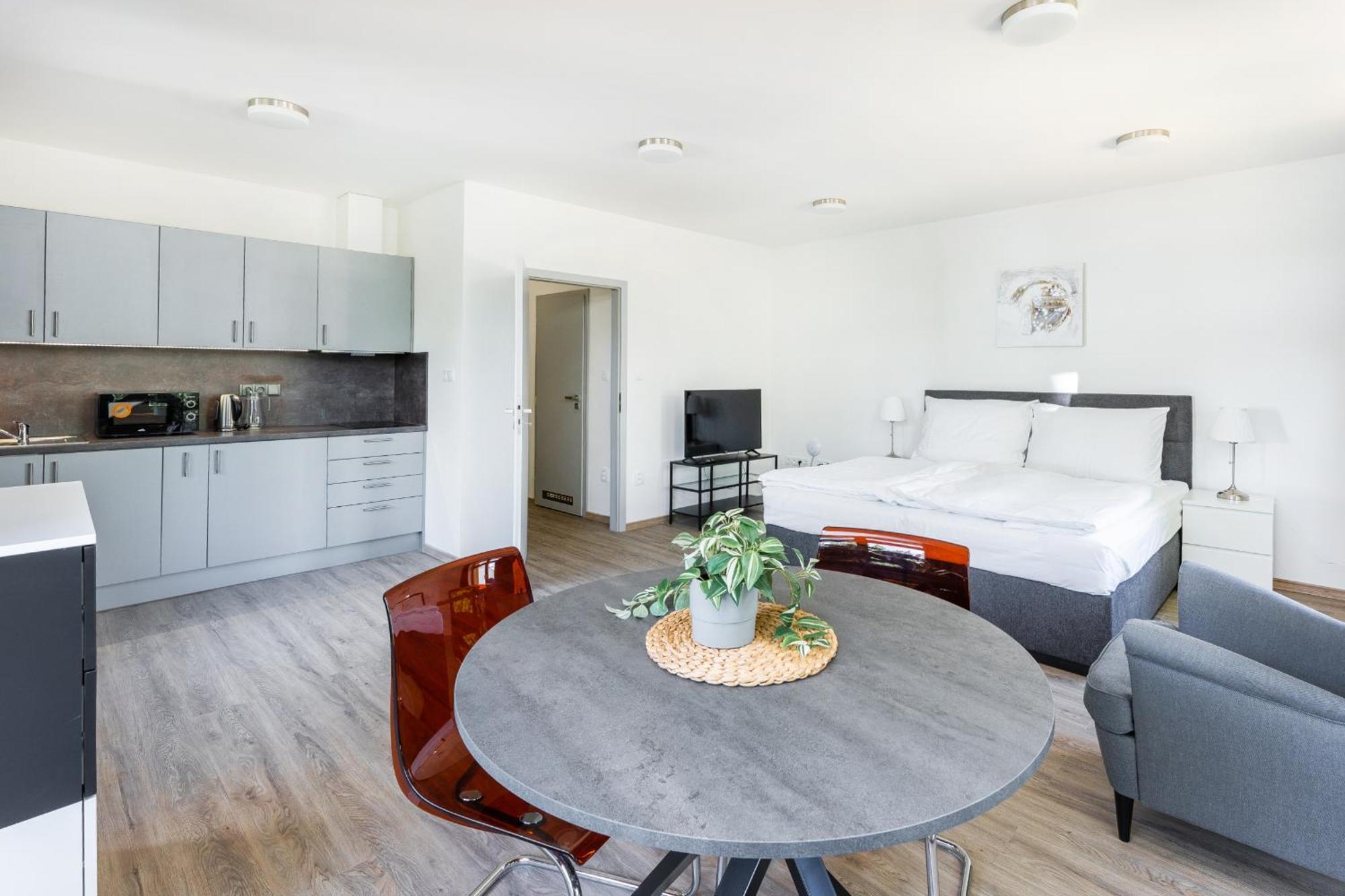 פודבראדי Apartman V Podebradech מראה חיצוני תמונה
