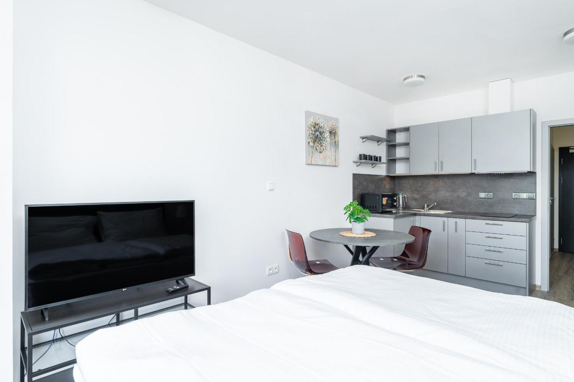 פודבראדי Apartman V Podebradech מראה חיצוני תמונה